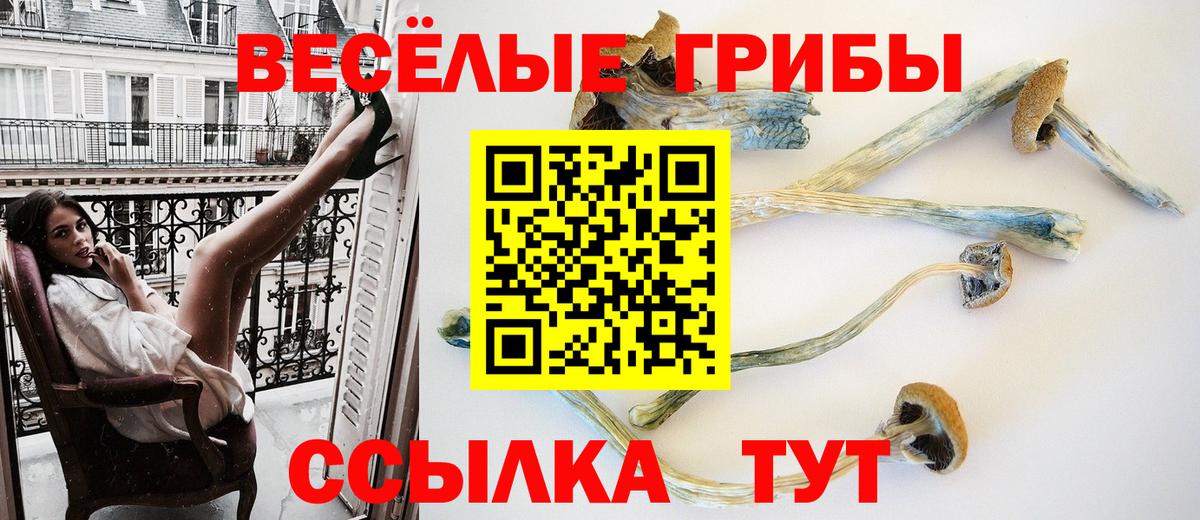 Алексин  Галлюциногенные грибы Cubensis  Псилоцибиновые грибы Psilocybe  Вход с VPN 